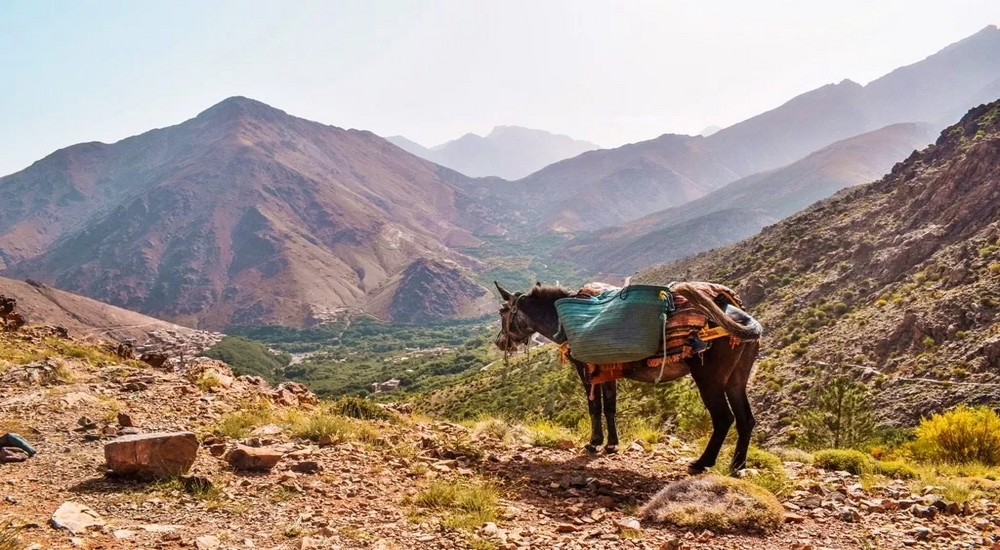 Hiking Morocco Know It Before You Go At It Typiquetours